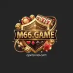 M66 Game
